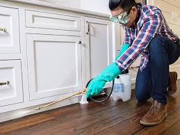 Best Real Estate Pest Inspections  in Bloomingdale, IL